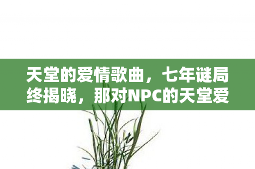 天堂的爱情歌曲,七年谜局终揭晓,那对NPC的天堂爱情,为何让百万玩家泪目? 天堂的爱情歌曲,七年谜局终揭晓,那对NPC的天堂爱情,为何让百万玩家泪目?