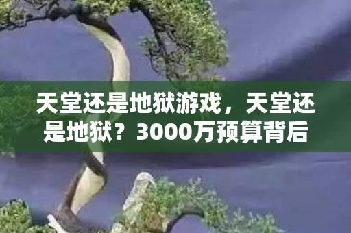 天堂还是地狱游戏，天堂还是地狱？3000万预算背后隐情，结果让人吓一跳！