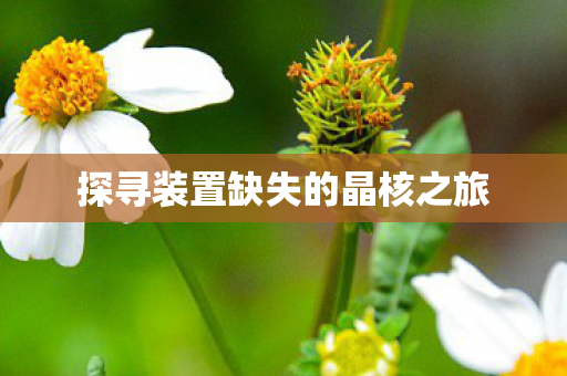 探寻装置缺失的晶核之旅图片