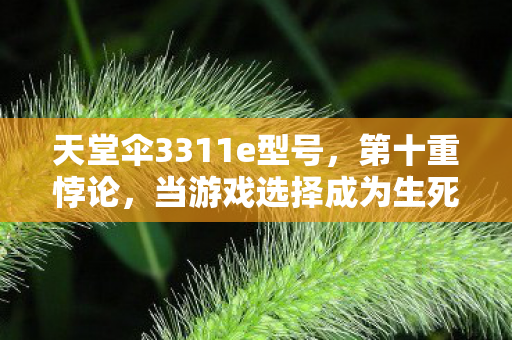 天堂伞3311e型号,第十重悖论,当游戏选择成为生死审判,天堂伞下藏着什么? 天堂伞3311e型号,第十重悖论,当游戏选择成为生死审判,天堂伞下藏着什么?
