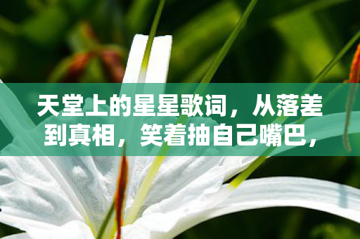 天堂上的星星歌词，从落差到真相，笑着抽自己嘴巴，最后笑着笑着哭了