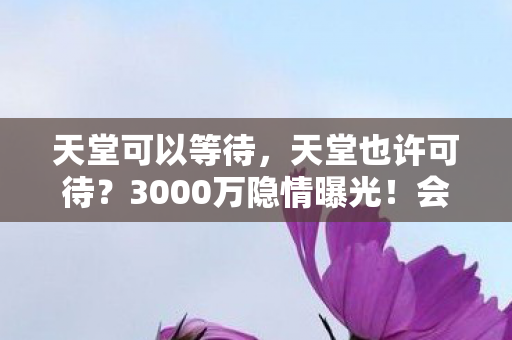 天堂可以等待,天堂也许可待?3000万隐情曝光!会议室争吵真相让人吓一跳! 天堂可以等待,天堂也许可待?3000万隐情曝光!会议室争吵真相让人吓一跳!