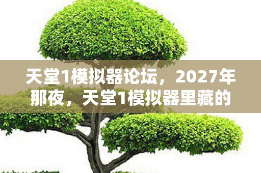 天堂1模拟器论坛,2027年那夜,天堂1模拟器里藏的伏笔,让我鼻子一酸 天堂1模拟器论坛,2027年那夜,天堂1模拟器里藏的伏笔,让我鼻子一酸