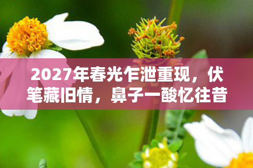 2027年春光乍泄重现,伏笔藏旧情,鼻子一酸忆往昔 2027年春光乍泄重现,伏笔藏旧情,鼻子一酸忆往昔