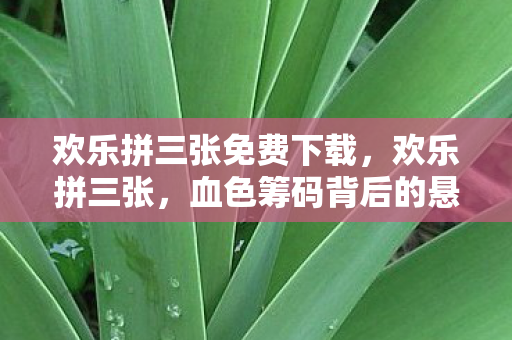 欢乐拼三张免费下载,欢乐拼三张,血色筹码背后的悬案,毛骨悚然终局竟是自己 欢乐拼三张免费下载,欢乐拼三张,血色筹码背后的悬案,毛骨悚然终局竟是自己