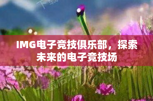 IMG电子竞技俱乐部图片