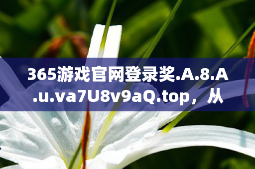 365游戏官网登录奖.A.8.A.u.va7U8v9aQ.top,从365天弃游到365秒真香!这款游戏竟让我五度回坑? 365游戏官网登录奖.A.8.A.u.va7U8v9aQ.top,从365天弃游到365秒真香!这款游戏竟让我五度回坑?