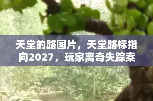 天堂的路图片，天堂路标指向2027，玩家离奇失踪案背后的死亡循环密码