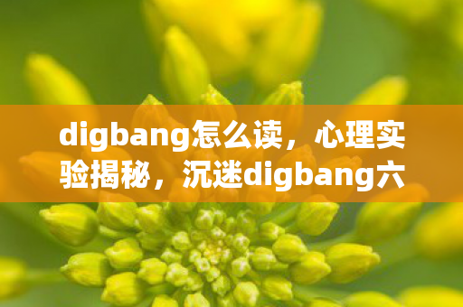 digbang怎么读,心理实验揭秘,沉迷digbang六年,细思极恐的自我麻醉之旅 digbang怎么读,心理实验揭秘,沉迷digbang六年,细思极恐的自我麻醉之旅