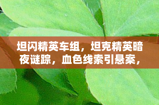 坦闪精英车组,坦克精英暗夜谜踪,血色线索引悬案,毛骨悚然终章启 坦闪精英车组,坦克精英暗夜谜踪,血色线索引悬案,毛骨悚然终章启