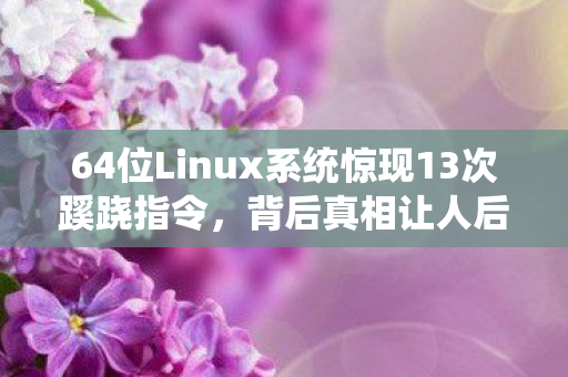 64位Linux系统惊现13次蹊跷指令,背后真相让人后背发凉! 64位Linux系统惊现13次蹊跷指令,背后真相让人后背发凉!