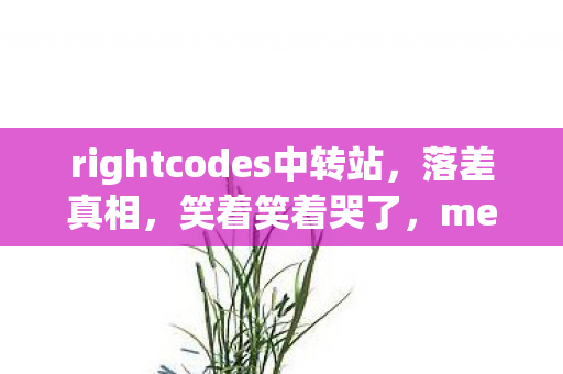 rightcodes中转站,落差真相,笑着笑着哭了,mediafire中转站里的退坑谎言 rightcodes中转站,落差真相,笑着笑着哭了,mediafire中转站里的退坑谎言