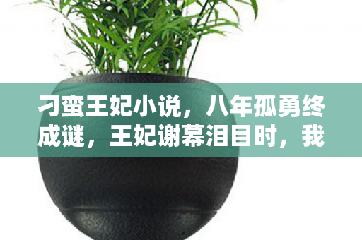 刁蛮王妃小说,八年孤勇终成谜,王妃谢幕泪目时,我的青春谁买单? 刁蛮王妃小说,八年孤勇终成谜,王妃谢幕泪目时,我的青春谁买单?