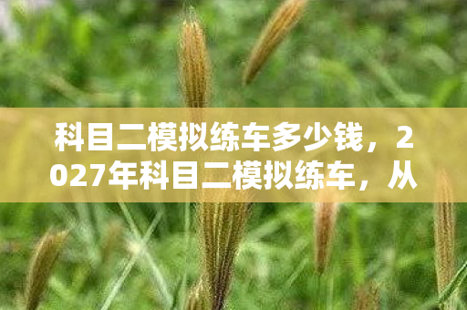 科目二模拟练车多少钱,2027年科目二模拟练车,从并肩到散场,伏笔里藏着鼻子一酸的过往 科目二模拟练车多少钱,2027年科目二模拟练车,从并肩到散场,伏笔里藏着鼻子一酸的过往
