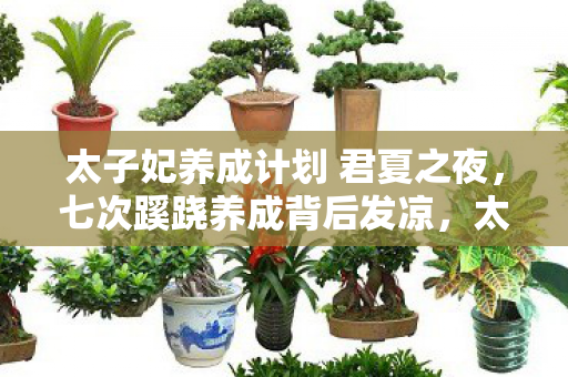 太子妃养成计划 君夏之夜,七次蹊跷养成背后发凉,太子妃竟是真人实验品? 太子妃养成计划 君夏之夜,七次蹊跷养成背后发凉,太子妃竟是真人实验品?