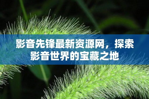 探索影音世界的宝藏之地图片