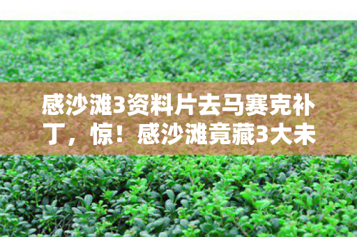 感沙滩3资料片去马赛克补丁,惊!感沙滩竟藏3大未解之谜,99%的人去了都直呼太震撼! 感沙滩3资料片去马赛克补丁,惊!感沙滩竟藏3大未解之谜,99%的人去了都直呼太震撼!
