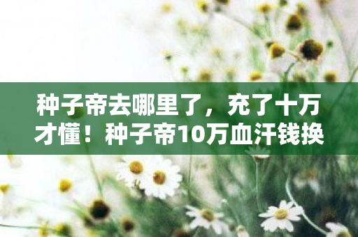 种子帝去哪里了,充了十万才懂!种子帝10万血汗钱换来韭菜认证书,吓到腿软! 种子帝去哪里了,充了十万才懂!种子帝10万血汗钱换来韭菜认证书,吓到腿软!