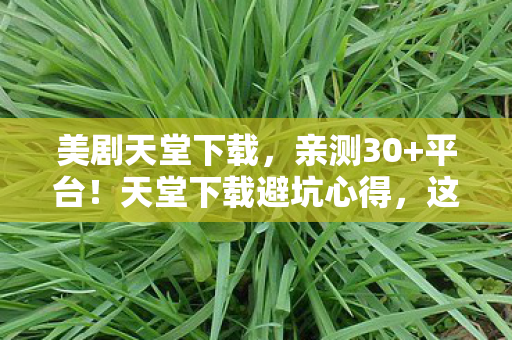 美剧天堂下载,亲测30+平台!天堂下载避坑心得,这5类陷阱让你少走90%弯路 美剧天堂下载,亲测30+平台!天堂下载避坑心得,这5类陷阱让你少走90%弯路