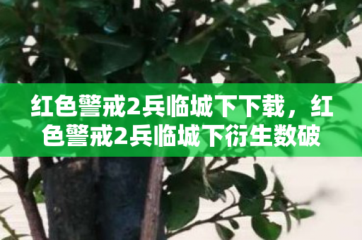 红色警戒2兵临城下下载,红色警戒2兵临城下衍生数破圈!意想不到,游戏元素竟成时尚圈新宠 红色警戒2兵临城下下载,红色警戒2兵临城下衍生数破圈!意想不到,游戏元素竟成时尚圈新宠