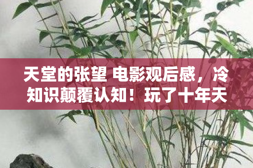 天堂的张望 电影观后感,冷知识颠覆认知!玩了十年天堂的张望,我竟目瞪口呆发现…… 天堂的张望 电影观后感,冷知识颠覆认知!玩了十年天堂的张望,我竟目瞪口呆发现……