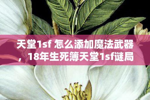 天堂1sf 怎么添加魔法武器,18年生死簿天堂1sf谜局,127万ID湮灭时间轴,最后泪目竟是…… 天堂1sf 怎么添加魔法武器,18年生死簿天堂1sf谜局,127万ID湮灭时间轴,最后泪目竟是……