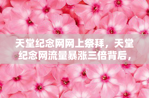 天堂纪念网网上祭拜,天堂纪念网流量暴涨三倍背后,疑云密布,玩家心寒谁在操控? 天堂纪念网网上祭拜,天堂纪念网流量暴涨三倍背后,疑云密布,玩家心寒谁在操控?
