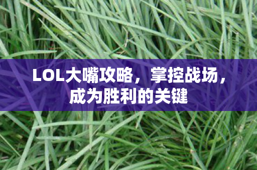 LOL大嘴攻略图片