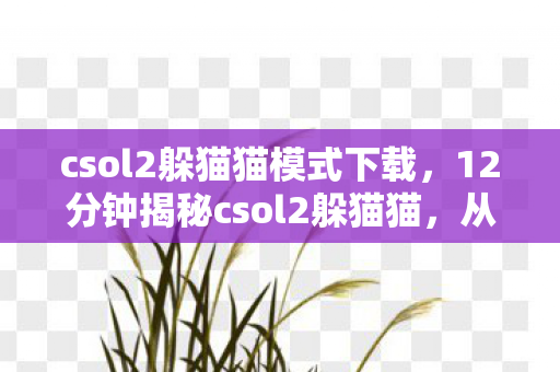csol2躲猫猫模式下载,12分钟揭秘csol2躲猫猫,从爆火到消逝的谜题,泪目终章 csol2躲猫猫模式下载,12分钟揭秘csol2躲猫猫,从爆火到消逝的谜题,泪目终章