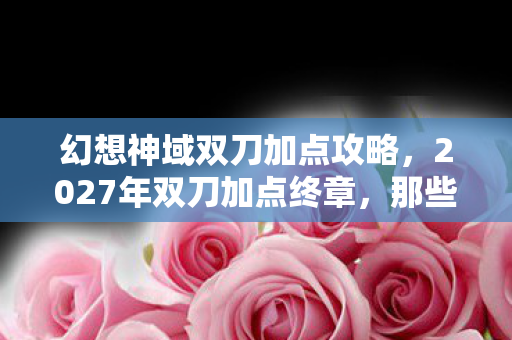 幻想神域双刀加点攻略，2027年双刀加点终章，那些别走的伏笔，让我鼻子一酸