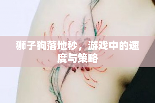游戏中的速度与策略图片
