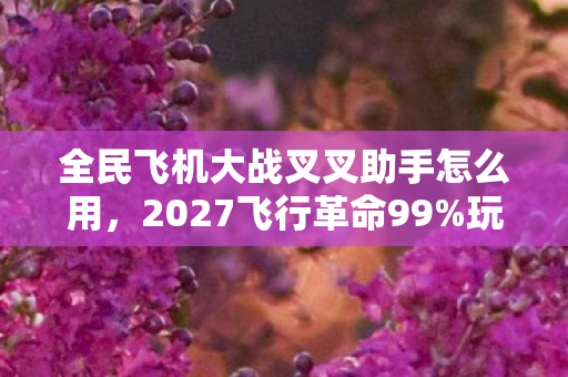 全民飞机大战叉叉助手怎么用,2027飞行革命99%玩家不知道的叉叉助手隐藏玩法,错过再等十年! 全民飞机大战叉叉助手怎么用,2027飞行革命99%玩家不知道的叉叉助手隐藏玩法,错过再等十年!
