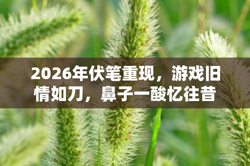 2026年伏笔重现,游戏旧情如刀,鼻子一酸忆往昔 2026年伏笔重现,游戏旧情如刀,鼻子一酸忆往昔