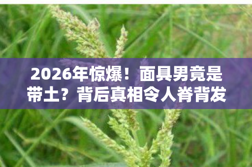 2026年惊爆!面具男竟是带土?背后真相令人脊背发凉! 2026年惊爆!面具男竟是带土?背后真相令人脊背发凉!