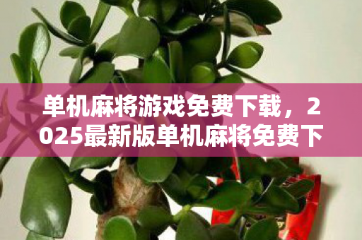 单机麻将游戏免费下载,2025最新版单机麻将免费下载全攻略!3大心得+避坑指南一键收藏 单机麻将游戏免费下载,2025最新版单机麻将免费下载全攻略!3大心得+避坑指南一键收藏