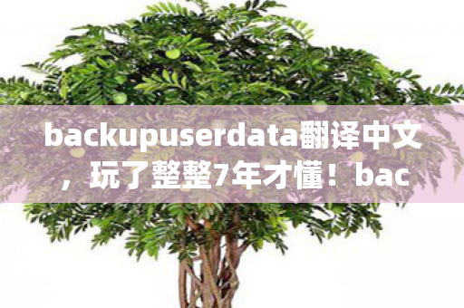 backupuserdata翻译中文,玩了整整7年才懂!backupuserdata的3种备份法,该选哪种才不后悔? backupuserdata翻译中文,玩了整整7年才懂!backupuserdata的3种备份法,该选哪种才不后悔?