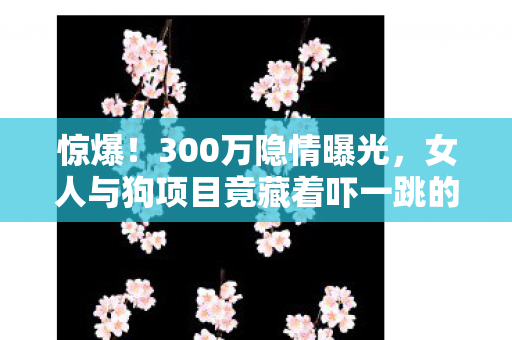 惊爆!300万隐情曝光,女人与狗项目竟藏着吓一跳的秘密! 惊爆!300万隐情曝光,女人与狗项目竟藏着吓一跳的秘密!