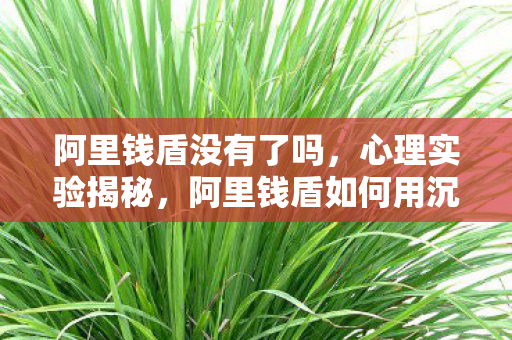 阿里钱盾没有了吗,心理实验揭秘,阿里钱盾如何用沉迷陷阱让你细思极恐? 阿里钱盾没有了吗,心理实验揭秘,阿里钱盾如何用沉迷陷阱让你细思极恐?
