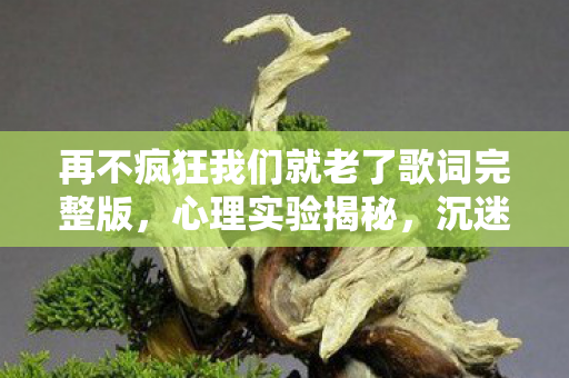 再不疯狂我们就老了歌词完整版,心理实验揭秘,沉迷游戏竟是多巴胺的细思极恐行为陷阱 再不疯狂我们就老了歌词完整版,心理实验揭秘,沉迷游戏竟是多巴胺的细思极恐行为陷阱
