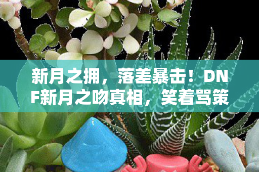 新月之拥,落差暴击!DNF新月之吻真相,笑着骂策划,笑着笑着就哭了 新月之拥,落差暴击!DNF新月之吻真相,笑着骂策划,笑着笑着就哭了