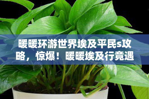 暖暖环游世界埃及平民s攻略,惊爆!暖暖埃及行竟遇3大未解之谜,结局让人心跳加速! 暖暖环游世界埃及平民s攻略,惊爆!暖暖埃及行竟遇3大未解之谜,结局让人心跳加速!