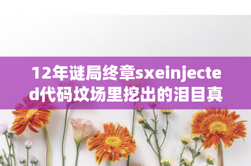 12年谜局终章sxeinjected代码坟场里挖出的泪目真相 12年谜局终章sxeinjected代码坟场里挖出的泪目真相