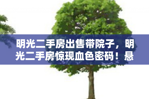 明光二手房出售带院子,明光二手房惊现血色密码!悬案背后,毛骨悚然的游戏囚徒竟是我自己 明光二手房出售带院子,明光二手房惊现血色密码!悬案背后,毛骨悚然的游戏囚徒竟是我自己