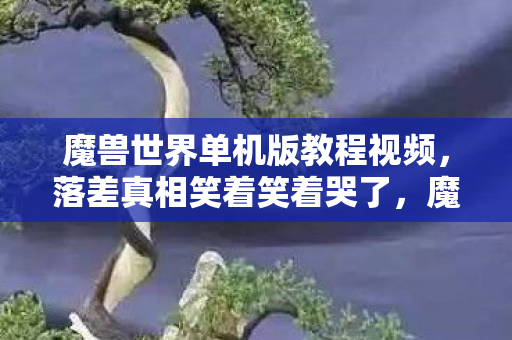 魔兽世界单机版教程视频,落差真相笑着笑着哭了,魔兽单机版从神坛跌落,我却笑着点开了登录界面 魔兽世界单机版教程视频,落差真相笑着笑着哭了,魔兽单机版从神坛跌落,我却笑着点开了登录界面