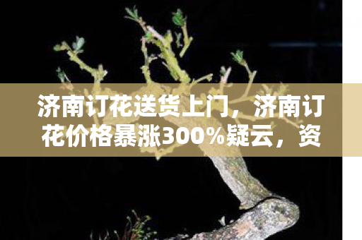 济南订花送货上门,济南订花价格暴涨300%疑云,资本游戏下,谁让玩家心寒至极? 济南订花送货上门,济南订花价格暴涨300%疑云,资本游戏下,谁让玩家心寒至极?