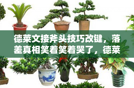 德莱文接斧头技巧改键,落差真相笑着笑着哭了,德莱文接斧头?我接的是自己碎成二维码的尊严! 德莱文接斧头技巧改键,落差真相笑着笑着哭了,德莱文接斧头?我接的是自己碎成二维码的尊严!