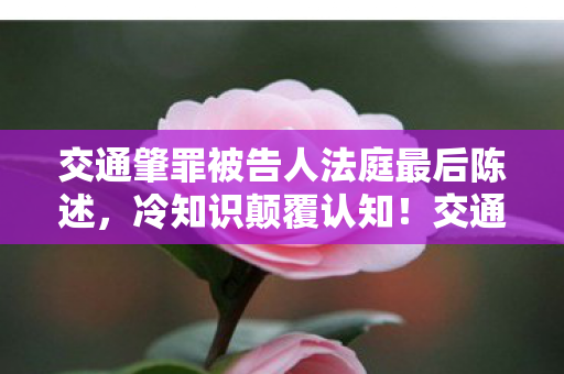 交通肇罪被告人法庭最后陈述,冷知识颠覆认知!交通肇事罪辩护词竟藏着目瞪口呆的自首密码 交通肇罪被告人法庭最后陈述,冷知识颠覆认知!交通肇事罪辩护词竟藏着目瞪口呆的自首密码