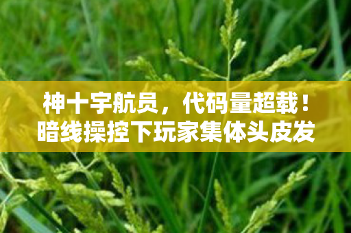 神十宇航员,代码量超载!暗线操控下玩家集体头皮发麻的赛博叛乱 神十宇航员,代码量超载!暗线操控下玩家集体头皮发麻的赛博叛乱
