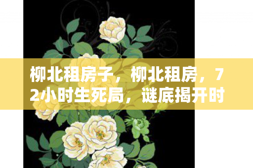 柳北租房子,柳北租房,72小时生死局,谜底揭开时,泪目竟成最后遗言 柳北租房子,柳北租房,72小时生死局,谜底揭开时,泪目竟成最后遗言