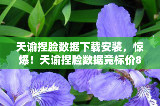 天谕捏脸数据下载安装,惊爆!天谕捏脸数据竟标价8888元?背后隐情让人吓一跳! 天谕捏脸数据下载安装,惊爆!天谕捏脸数据竟标价8888元?背后隐情让人吓一跳!